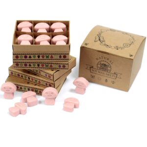 Coffee Trader Box of 6 Wax Melts