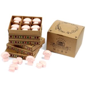 Old Ginger Box of 6 Wax Melts