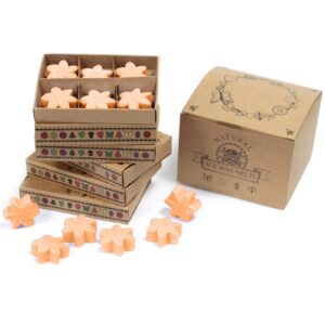 Mango Fruits Box of 6  Wax Melts