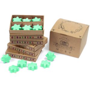 Hidden Garden Box of 6  Wax Melts