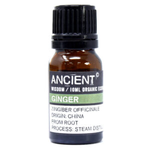 Ginger Organic Essential Oil